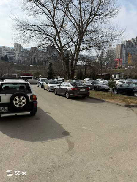 https://static.ss.ge/20260319/9_7ff71021-fc7b-4fc7-bd60-9b27378c9177_Thumb.jpg