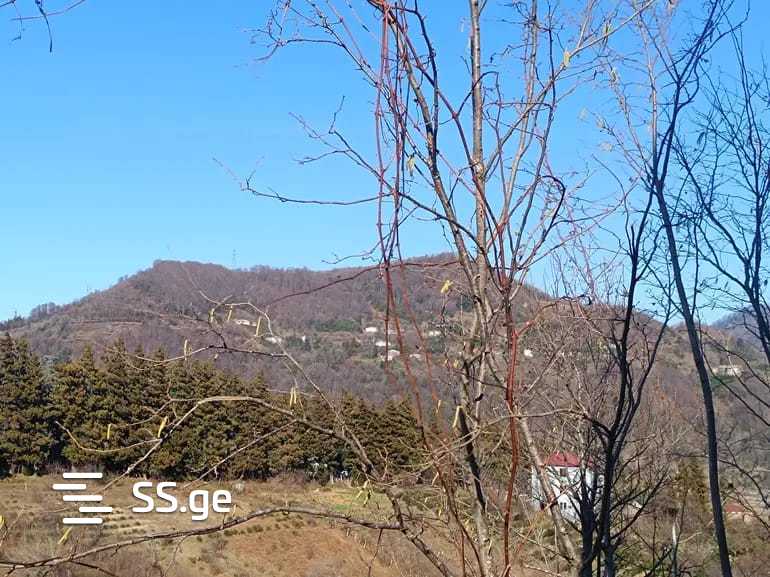 For Sale Sasoplo-Sameurneo Land Plot In Batumi view 17
