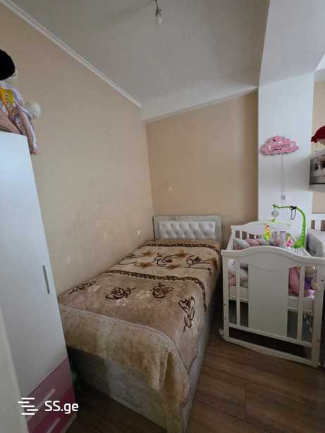 https://static.ss.ge/20260320/12_198314b8-c3e6-4073-87a8-e0318a362140_Thumb.jpg