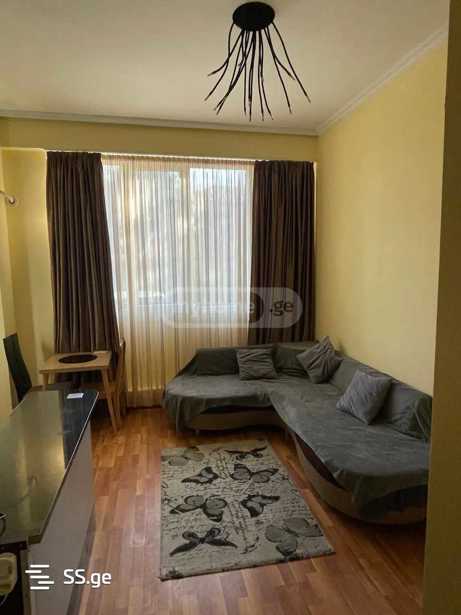 https://static.ss.ge/20260321/7_5975ef19-3908-43e1-8870-07bdb747218f_Thumb.jpg