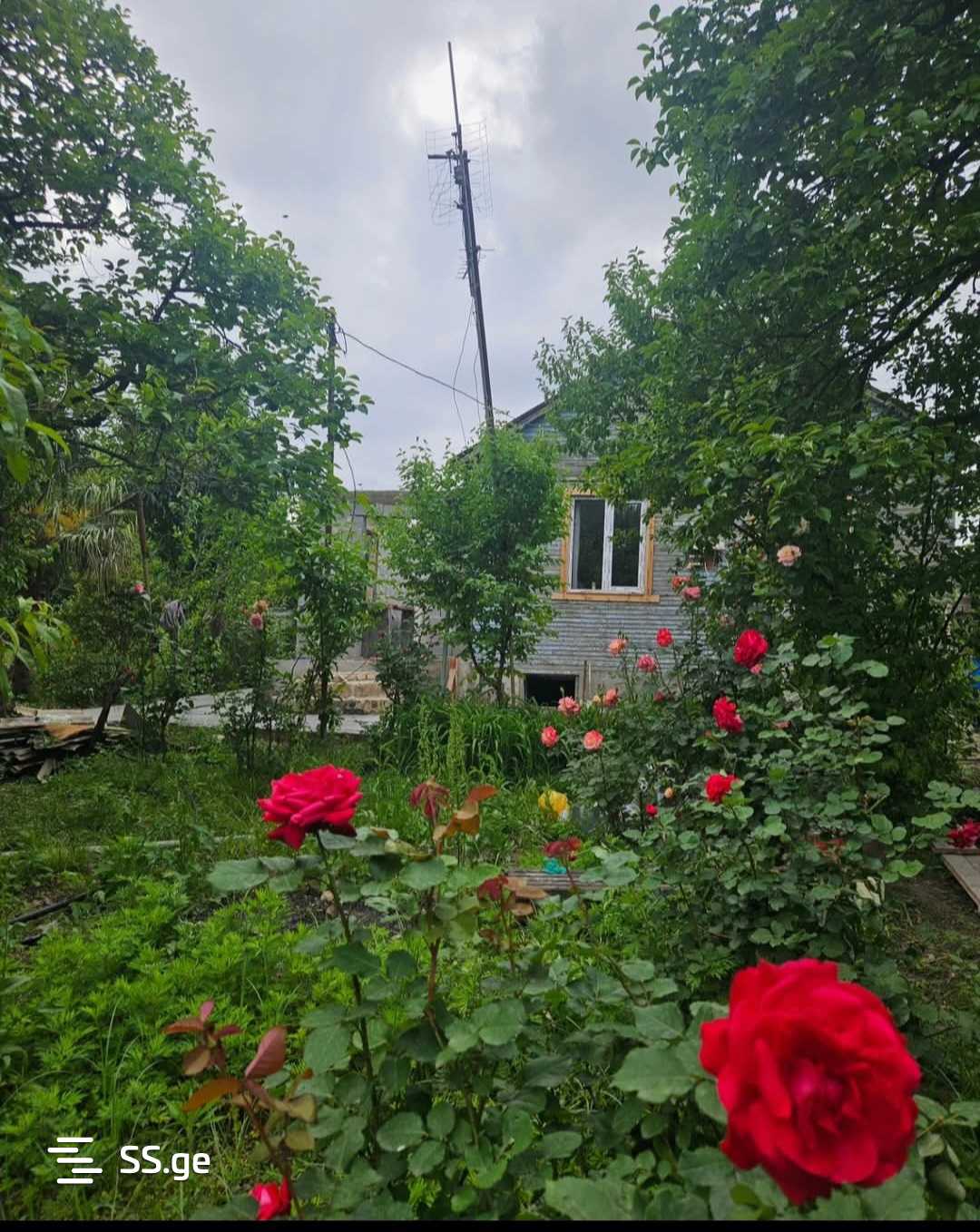 6 Room Private House For Sale view 7