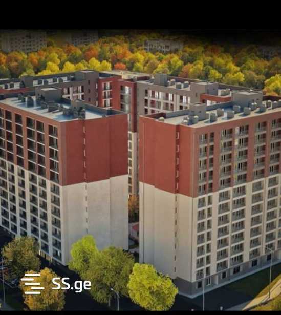 https://static.ss.ge/20260322/10_e639c7dc-4197-4d2a-88d5-fe9a60c34bce_Thumb.jpg