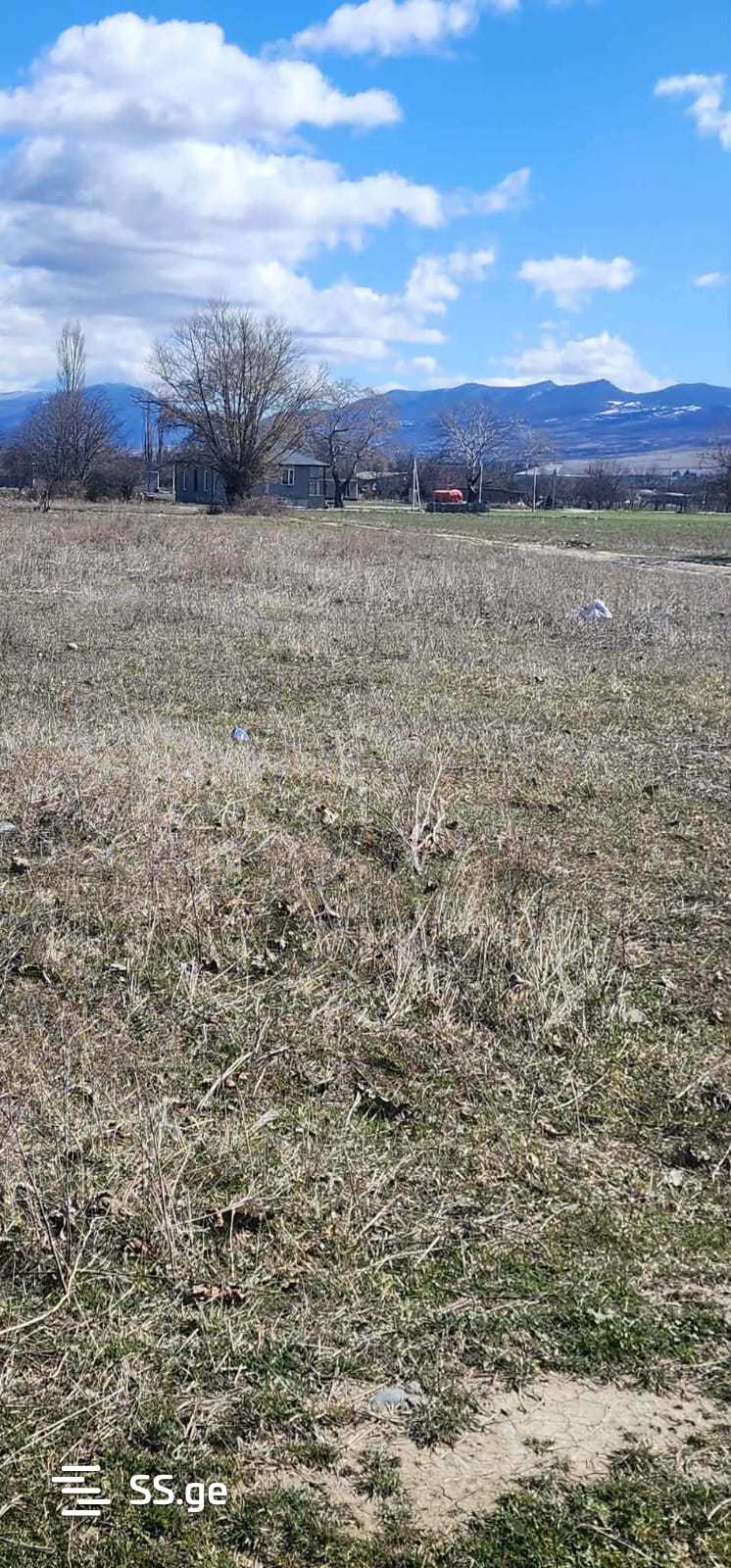 Land For Sale. Mukhrani view 4