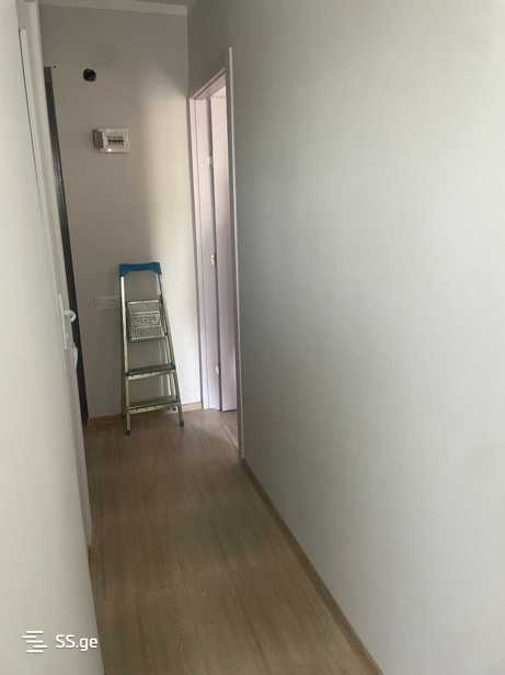 https://static.ss.ge/20260322/18_c6c80a5d-c3ec-471a-b63d-1baa9eb27e55_Thumb.jpg