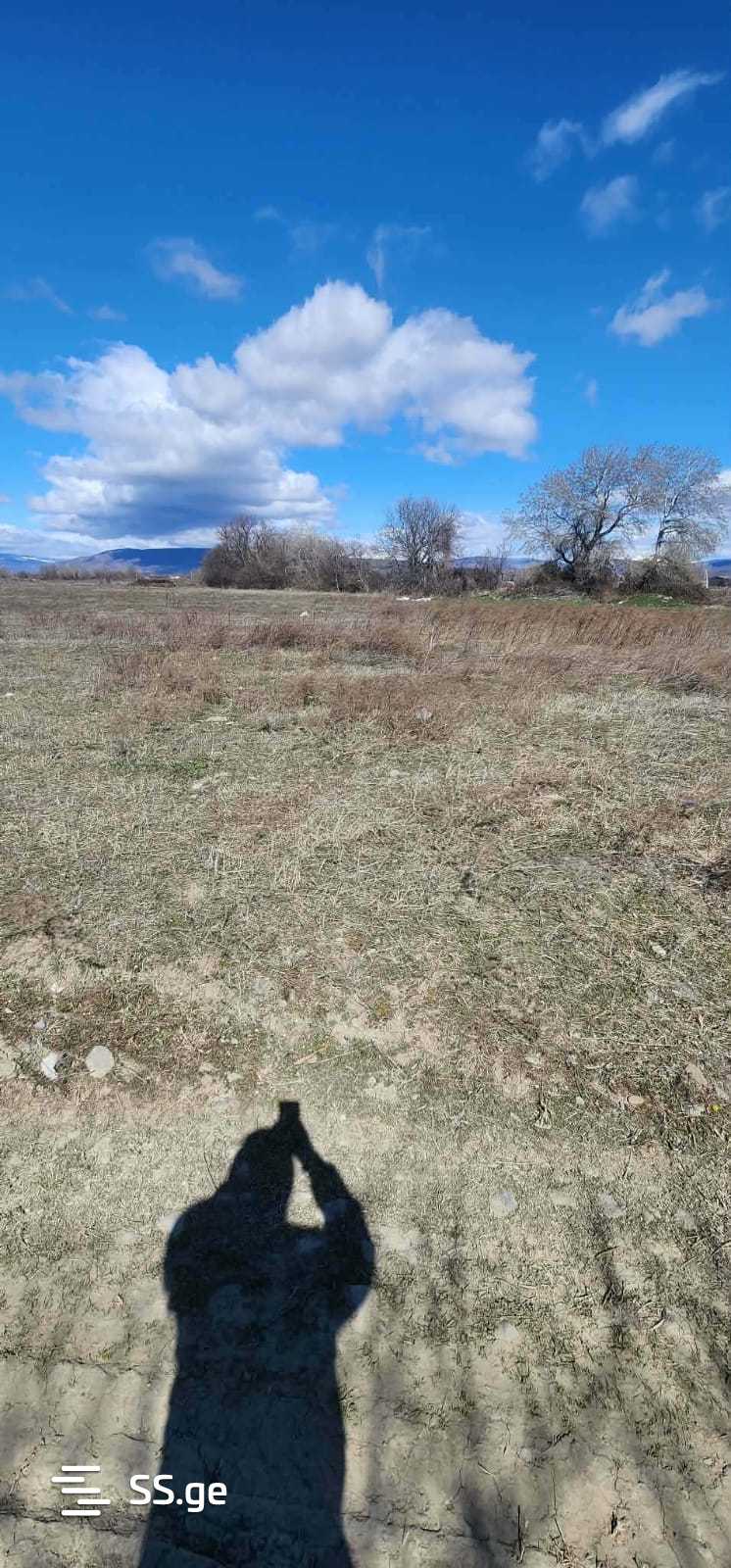 Land For Sale. Mukhrani view 2