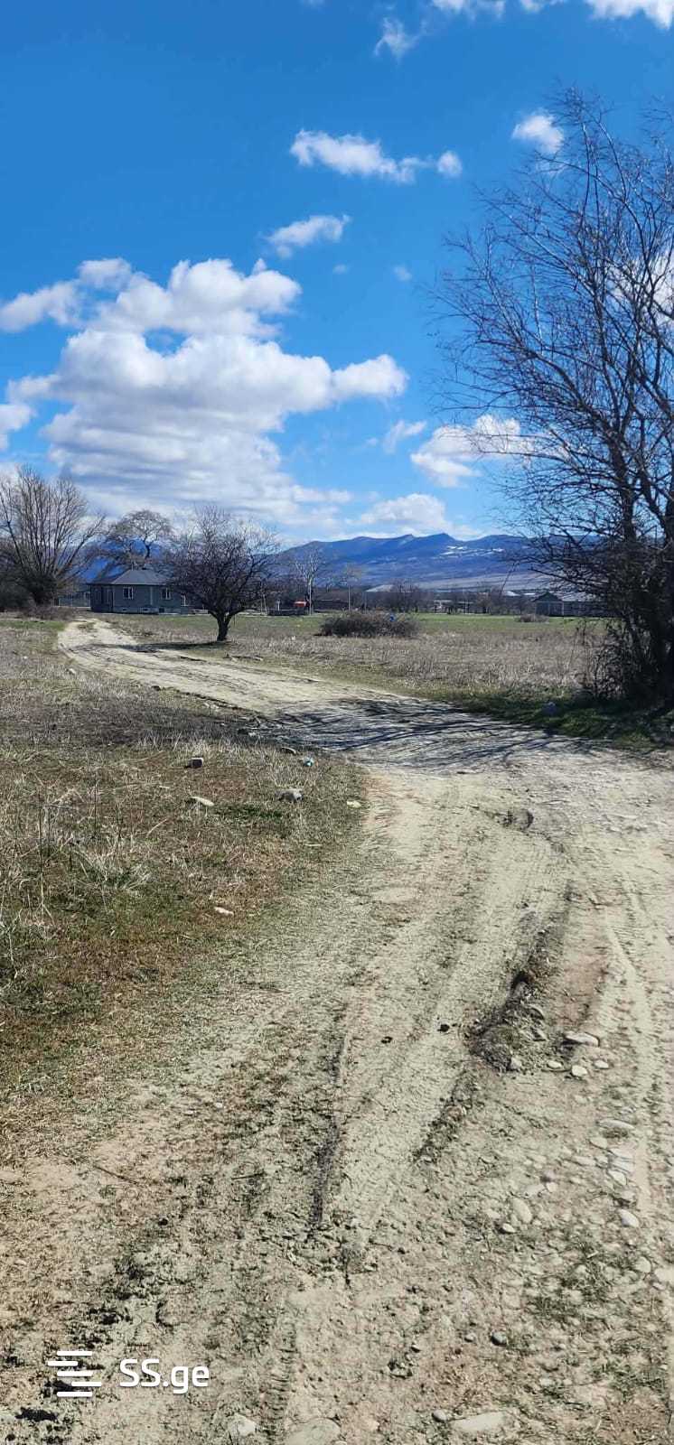 Land For Sale. Mukhrani view 3