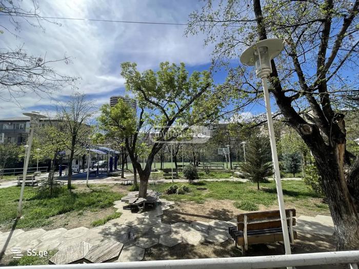 https://static.ss.ge/20260323/10_452cd48f-6e01-4866-8af7-7ccf69f0ea43_Thumb.jpg