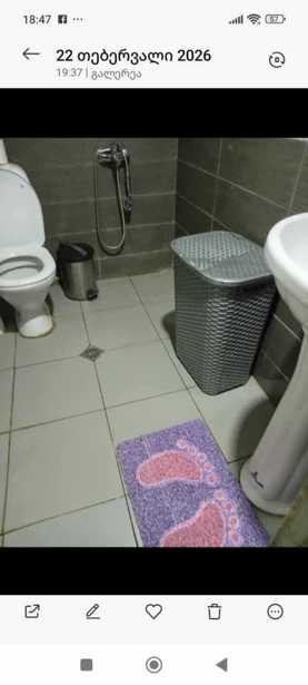 https://static.ss.ge/20260323/16_a5565e2e-70fd-43e9-9949-848033d7bb07_Thumb.jpg