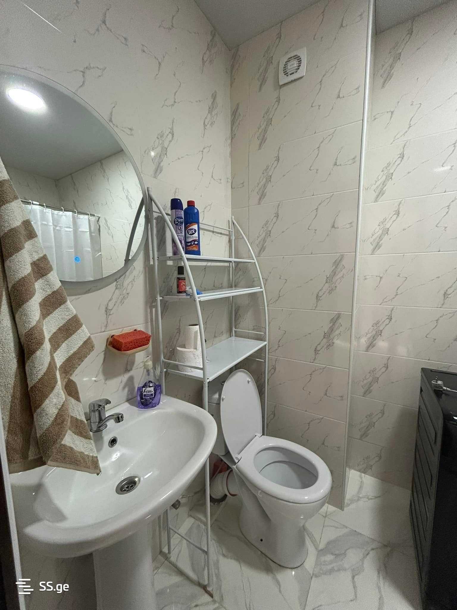 3 Room Flat For Rent. Telavi view 8