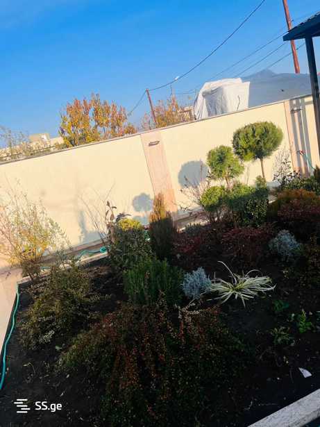 https://static.ss.ge/20260323/17_fe5995a2-80d0-44e8-a554-8f46abb98ee5_Thumb.jpg