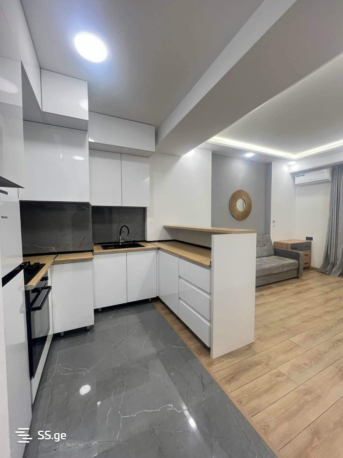 1 room Flat Daily rent. Isani - Widok 4