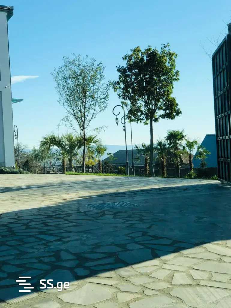 Private House For Sale. Tabakhmela view 13