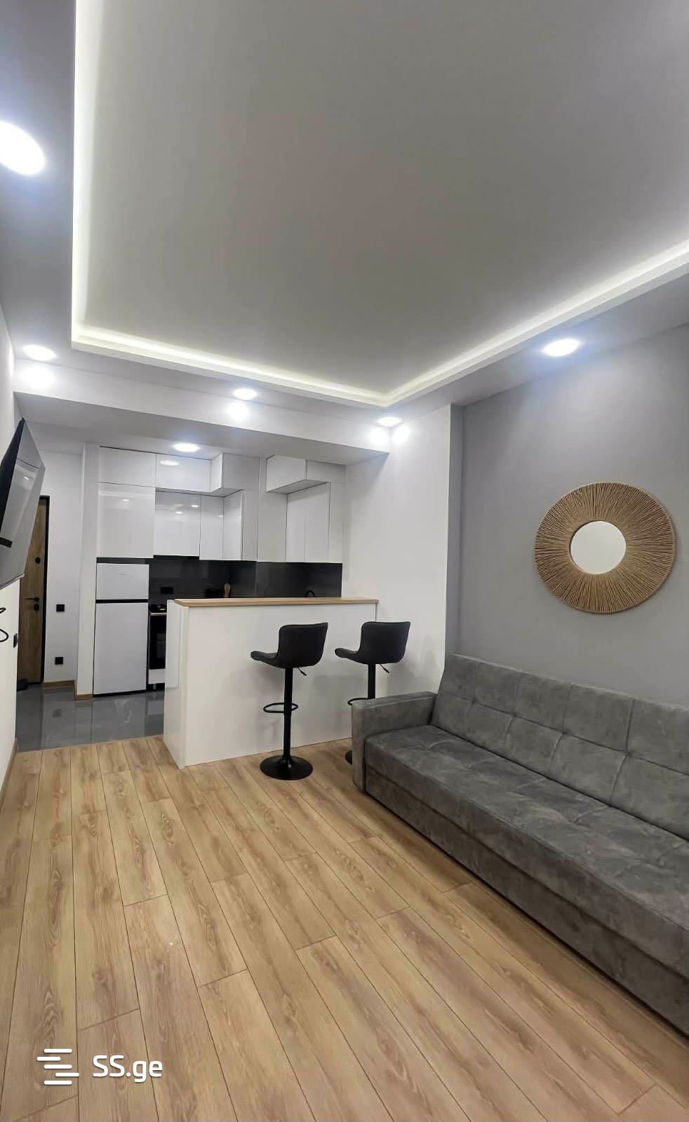 1 room Flat Daily rent. Isani - Widok 6