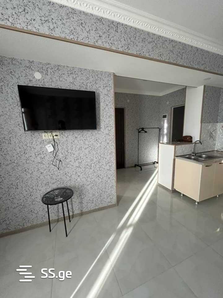 3 Room Flat For Rent. Telavi view 12