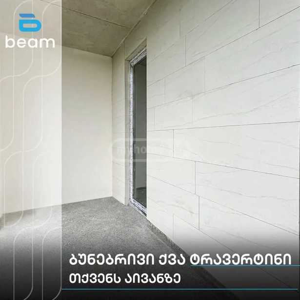 https://static.ss.ge/20260324/14_82dad35a-a5bc-4cc1-b589-9e9b48cc7ec1_Thumb.jpg