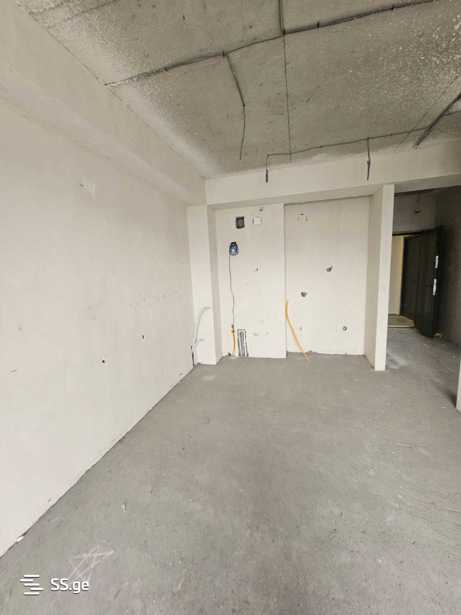 https://static.ss.ge/20260324/15_996a890f-83b5-4691-9c20-38633d0a1008_Thumb.jpg