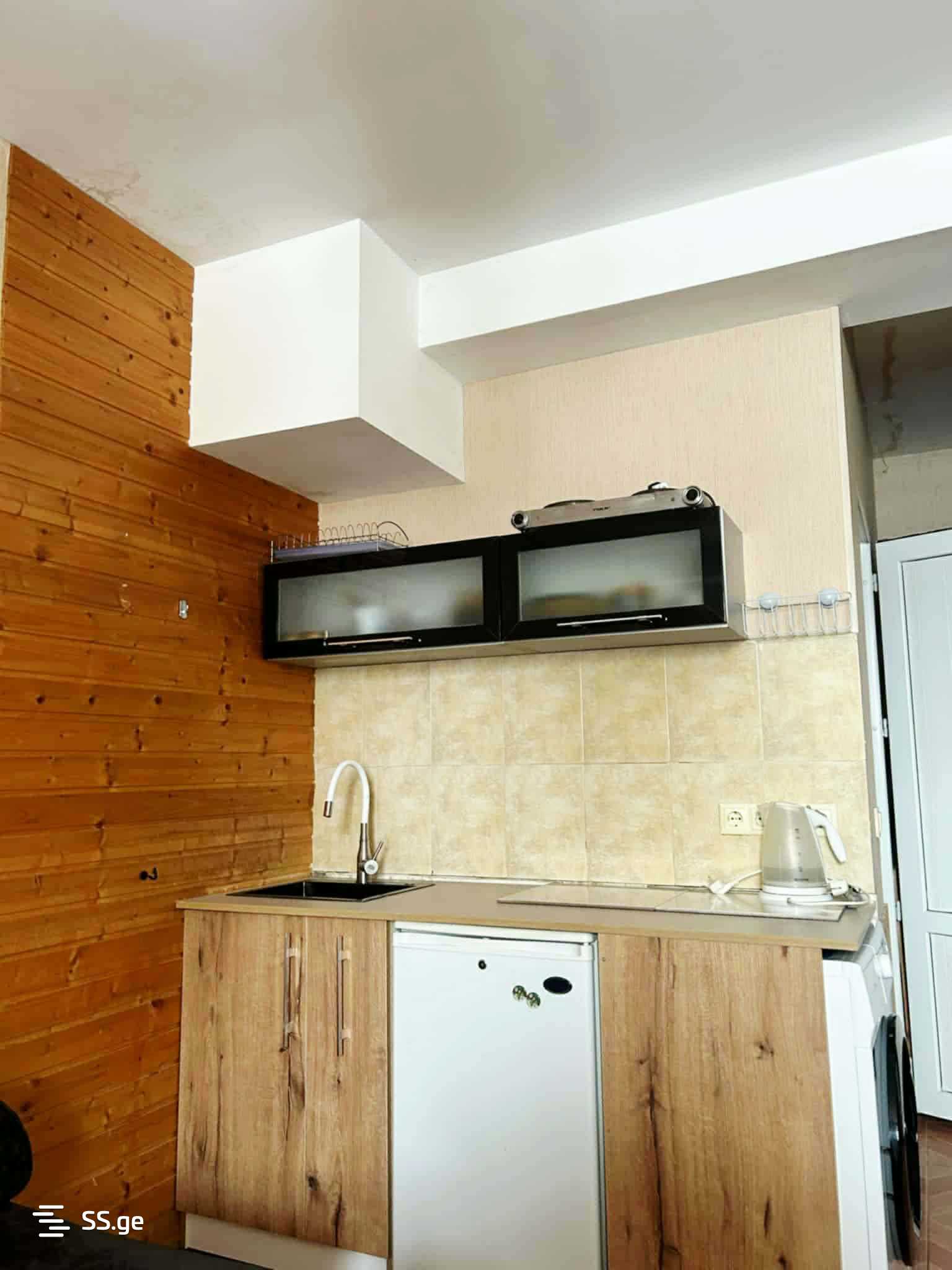 1 Room Flat For Rent. Gudauri view 4