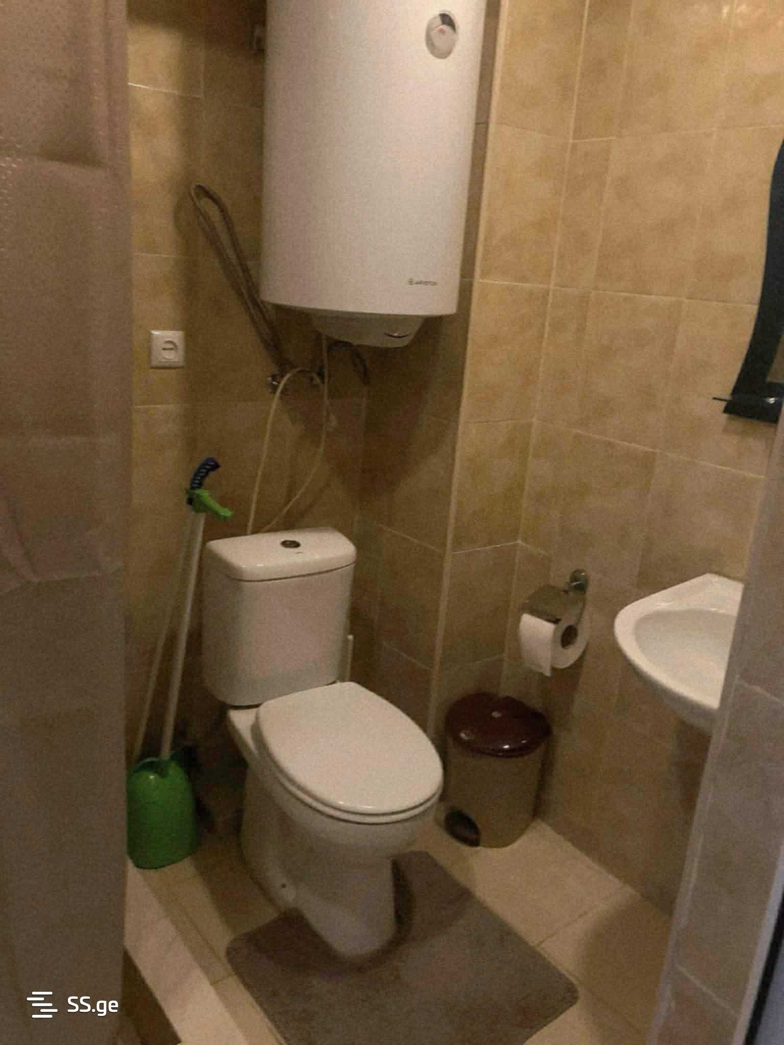 1 Room Flat For Rent. Gudauri view 2