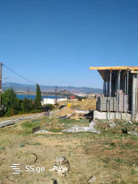 https://static.ss.ge/20260325/12_c41227c8-3809-4de7-8eef-273f4aeaea78_Thumb.jpg