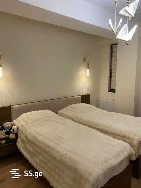 https://static.ss.ge/20260325/2_b326f1f2-df2c-459f-a5c9-d40c35162e7a_Thumb.jpg