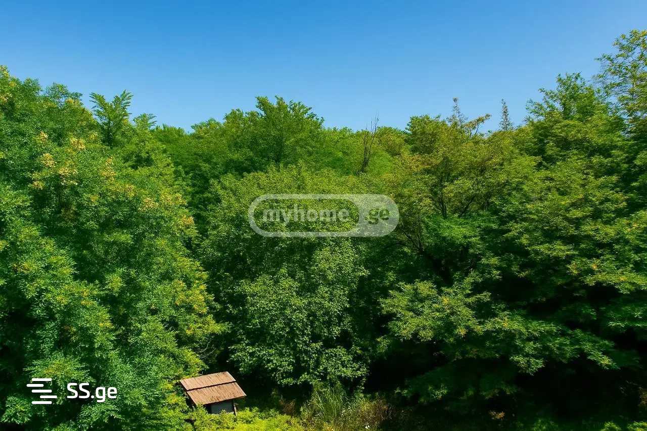 10 Room Private House For Sale view 14