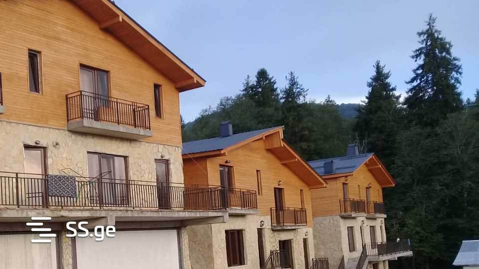 4 Room Summer Cottage Daily Rent. Bakuriani view 13