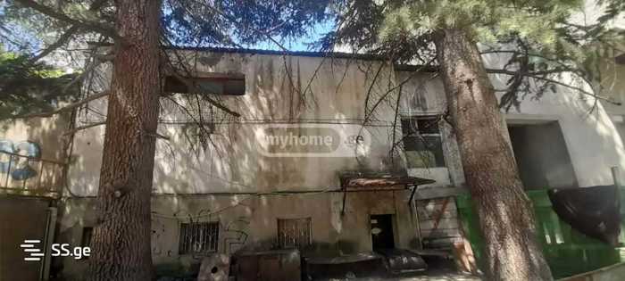 https://static.ss.ge/20260326/6_e458546d-061f-496e-a82c-3f611abfc2ae_Thumb.jpg