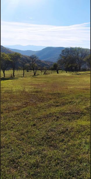 Land For Sale. Likhauri