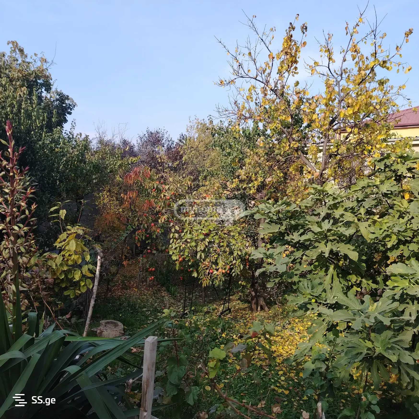 8 Room Private House For Rent. Gldani view 12