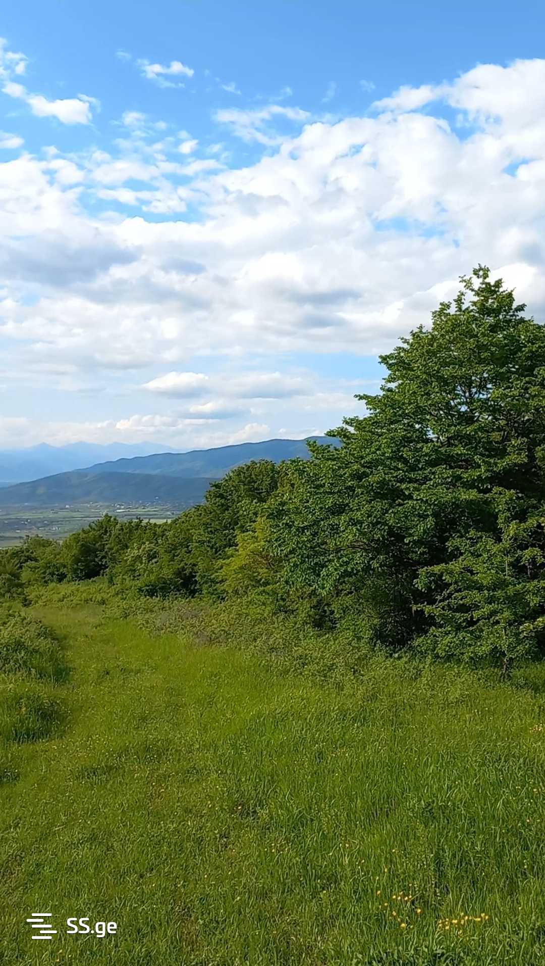 Продажа Земля в сагурамо view 2