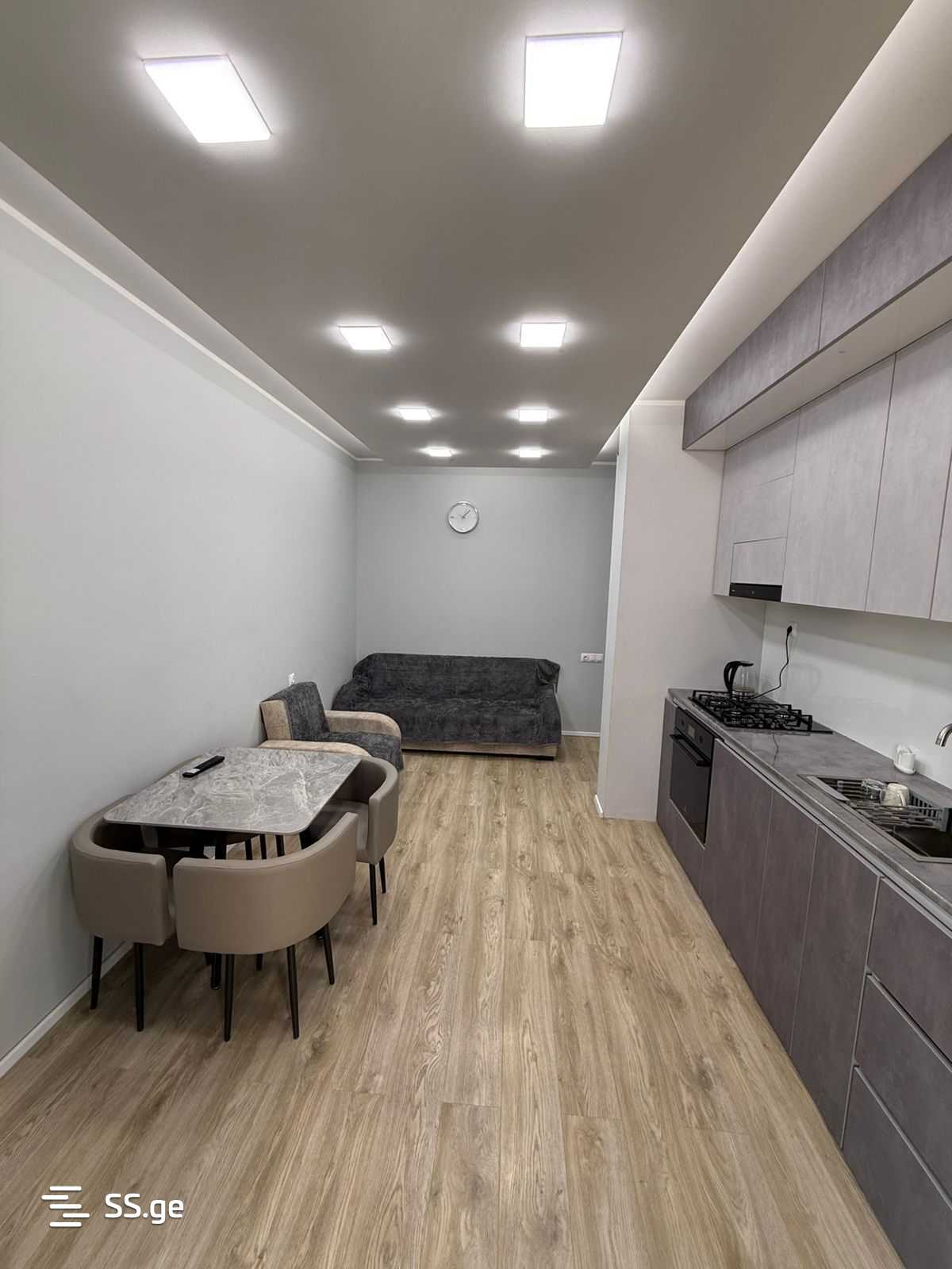 2 room Flat Daily rent. Vazisubani - Widok 4