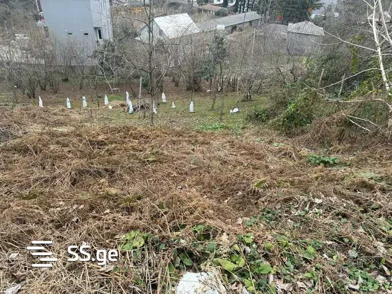 იყიდება მიწა მახინჯაურიში view 3