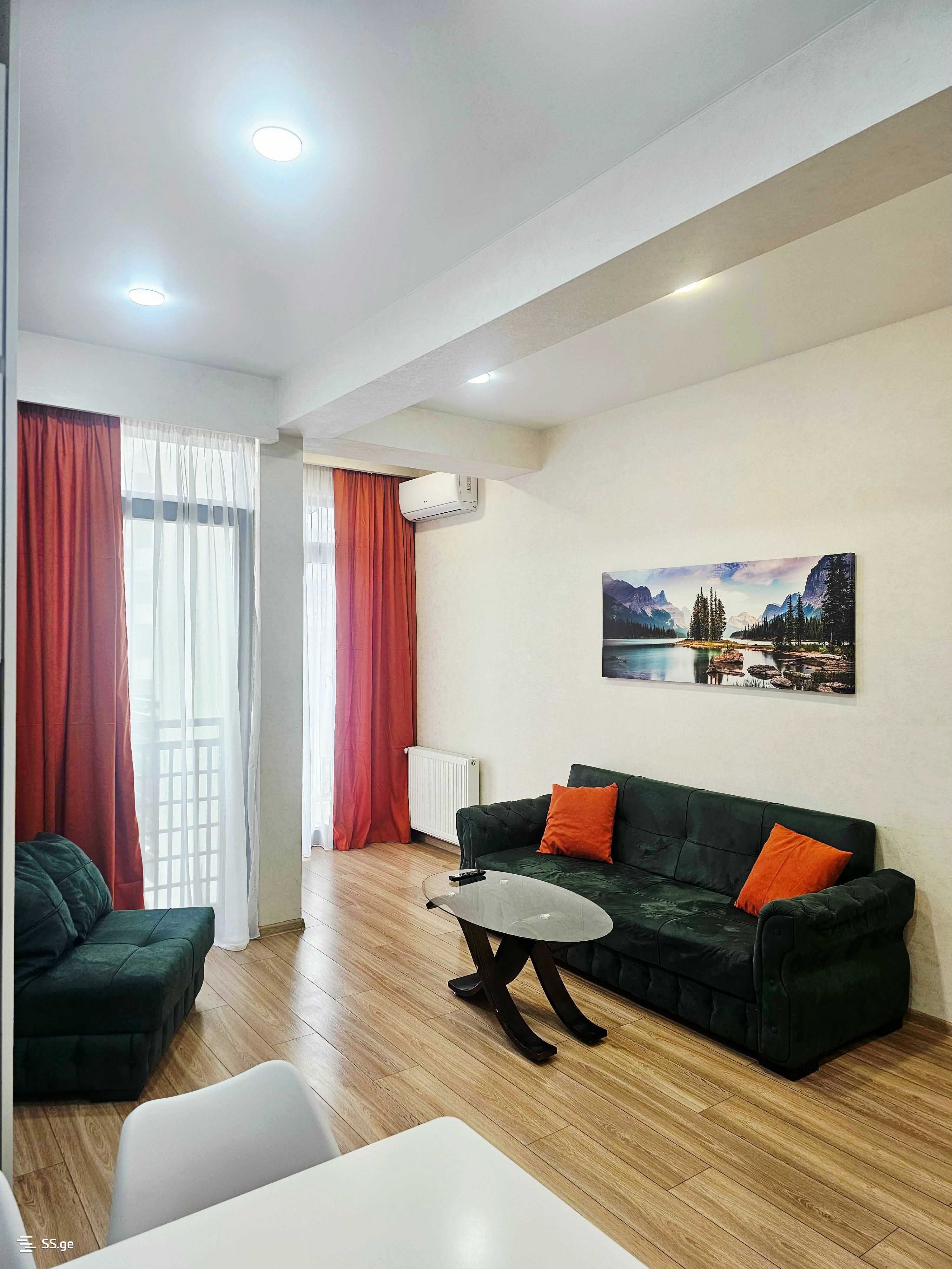 2 room Flat Daily rent. Vazisubani - Widok 5