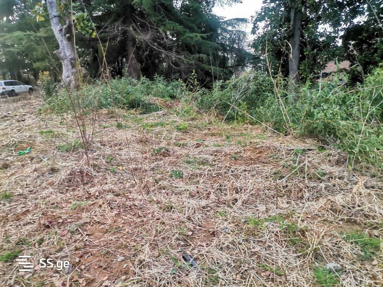 Land For Sale. Makhindjauri view 6