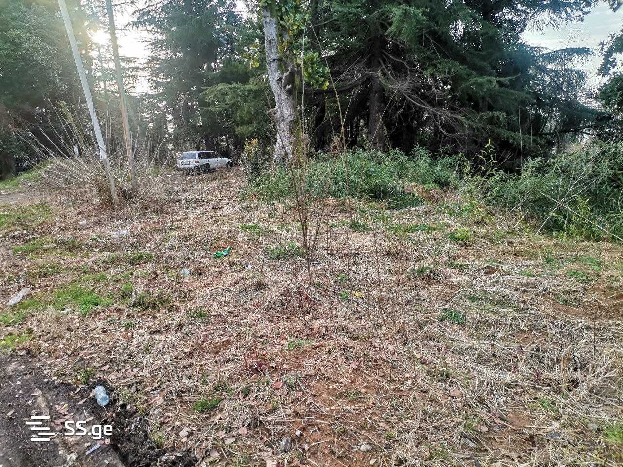 Land For Sale. Makhindjauri view 4