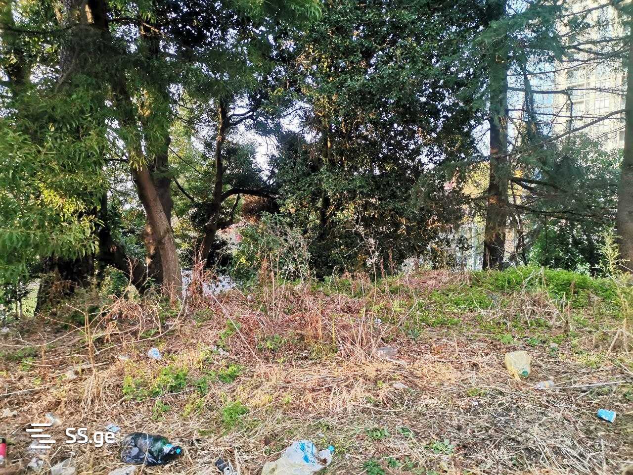 Land For Sale. Makhindjauri view 5