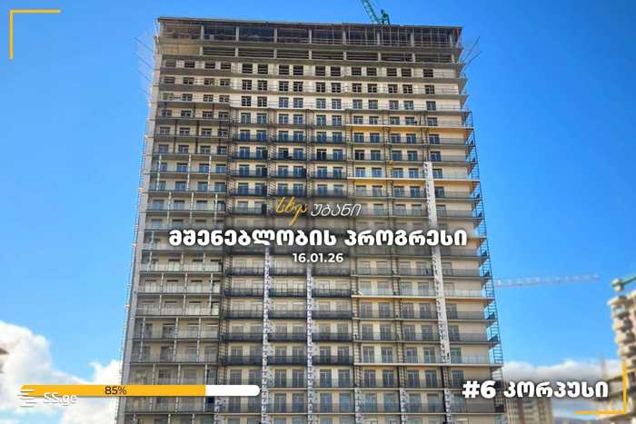 https://static.ss.ge/20260328/15_8d85e832-2825-46dc-a931-6d1cb2ff333c_Thumb.jpg