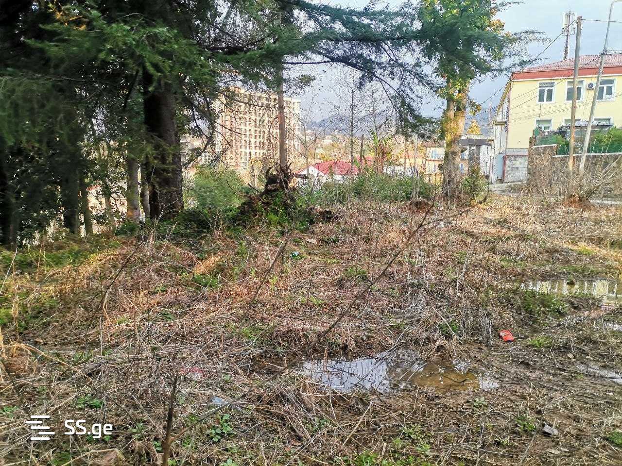 Land For Sale. Makhindjauri view 1