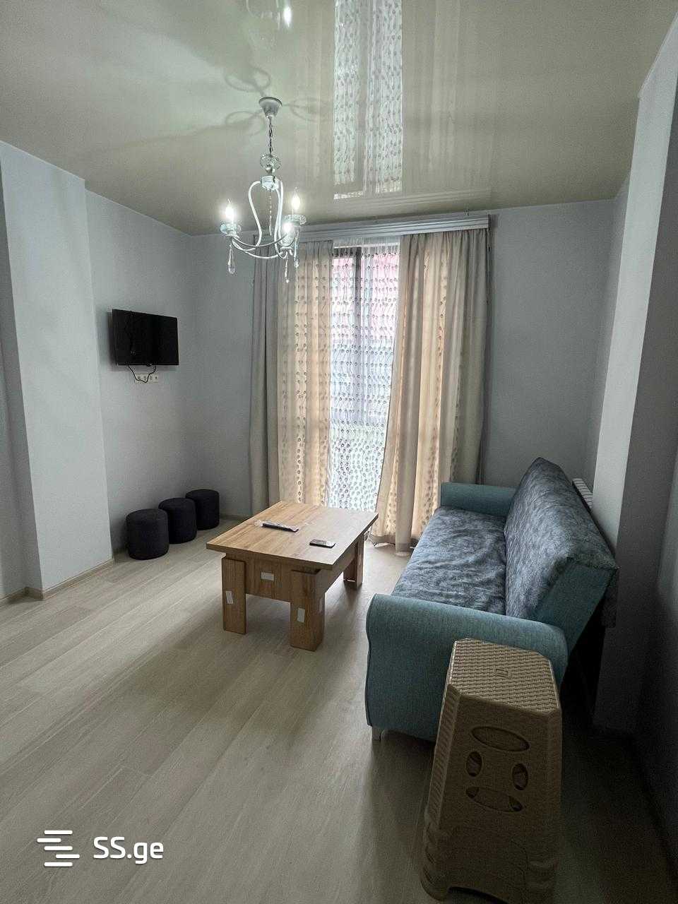 2 Room Flat Daily Rent. Batumi view 10