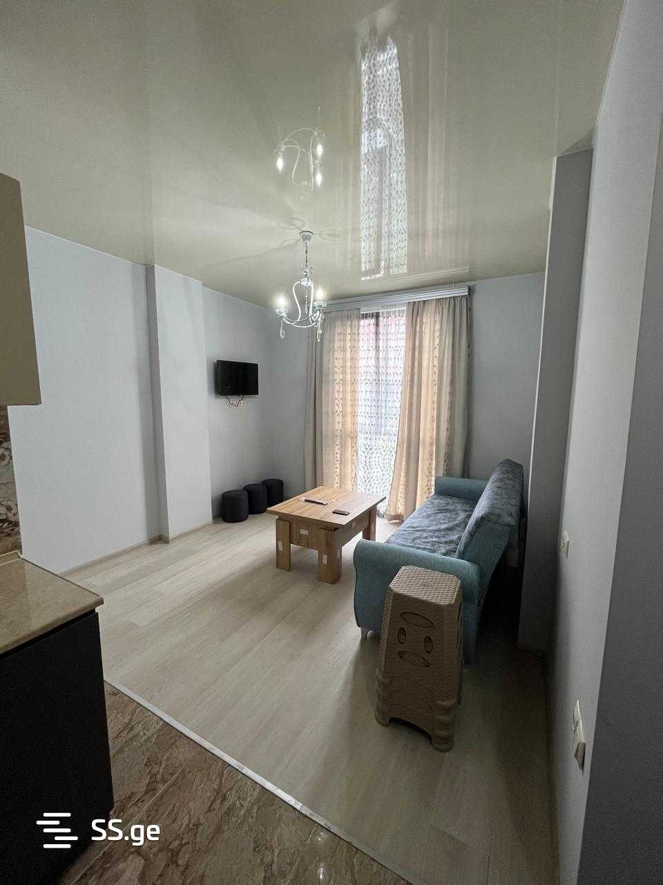2 Room Flat Daily Rent. Batumi view 7
