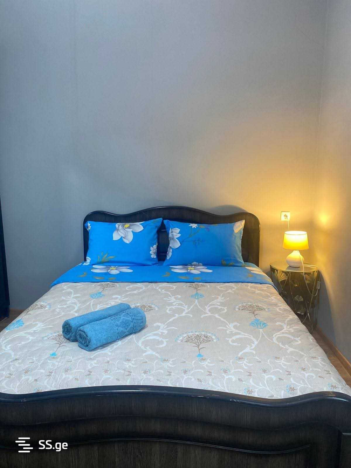 5 Room Private House Daily Rent. Kutaisi view 1