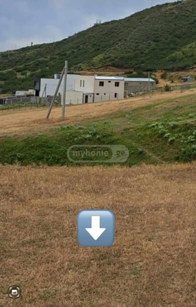 https://static.ss.ge/20260328/2_c36b21e1-a7fa-4f42-9b3b-12f3526faa4e_Thumb.jpg