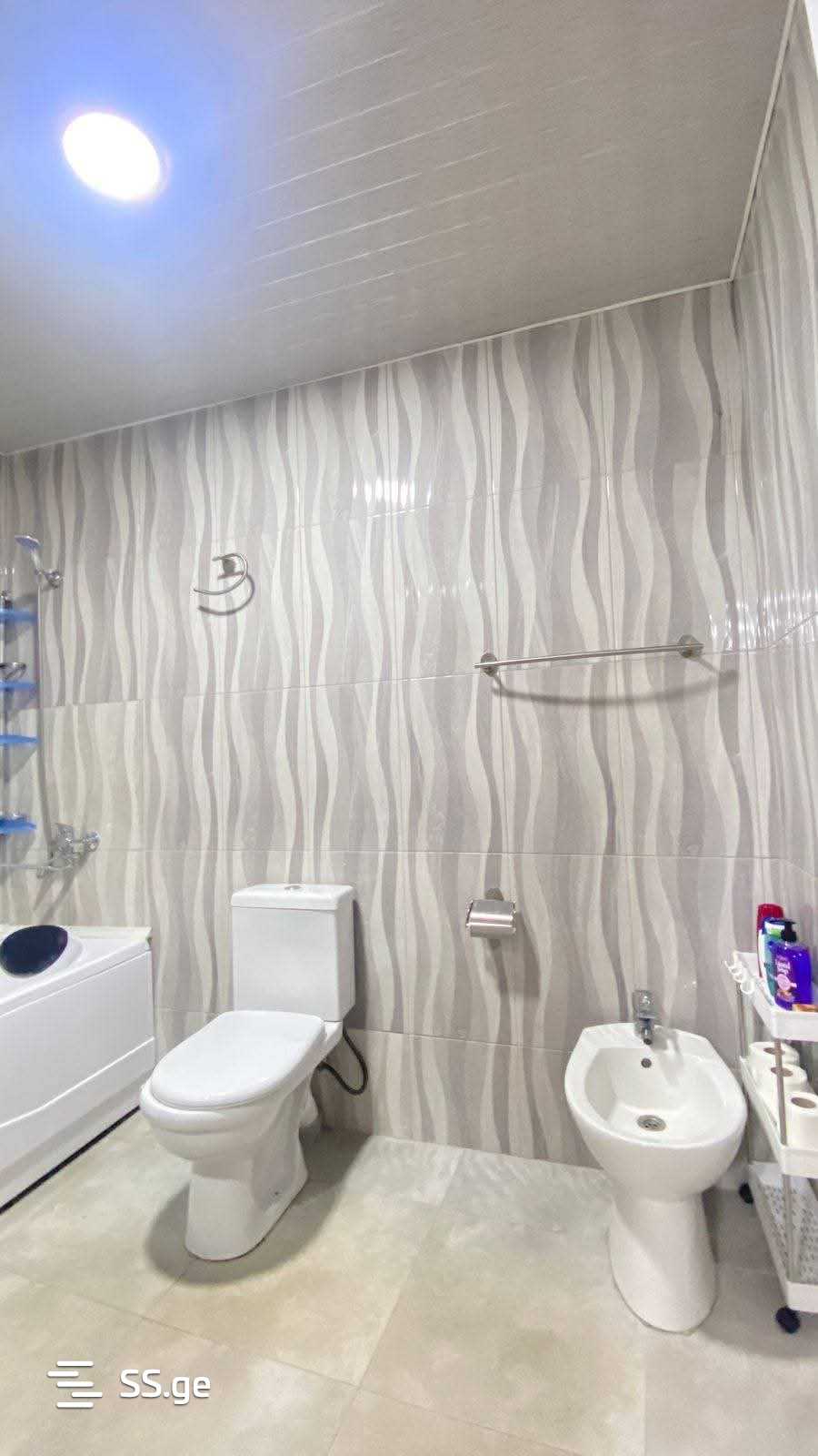 5 Room Private House Daily Rent. Kutaisi view 10