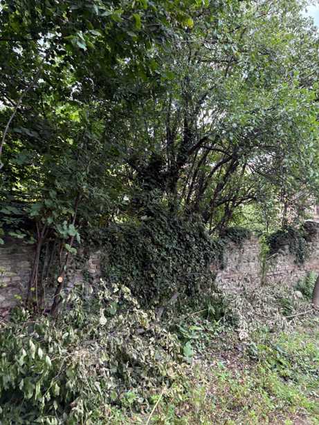 https://static.ss.ge/20260329/14_333ac3f4-939e-46dc-95f4-9285bf38d6d9_Thumb.jpg