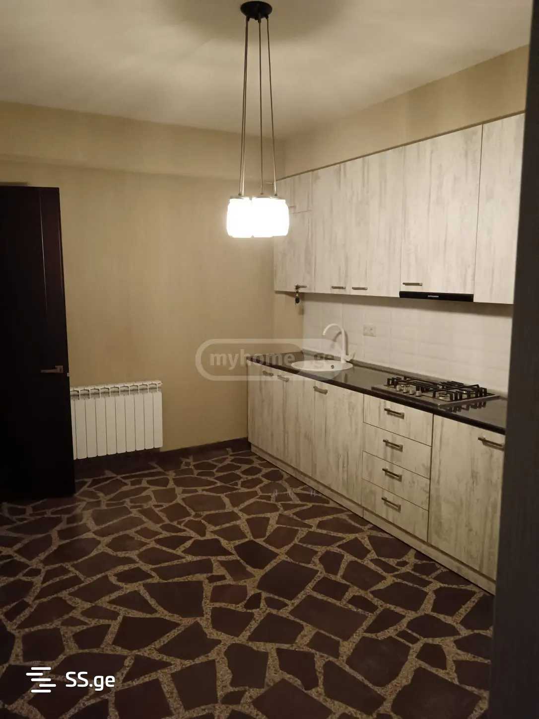 Private House For Rent. Krtsanisi view 7