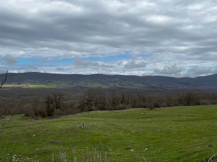 Land For Sale. Kodalo