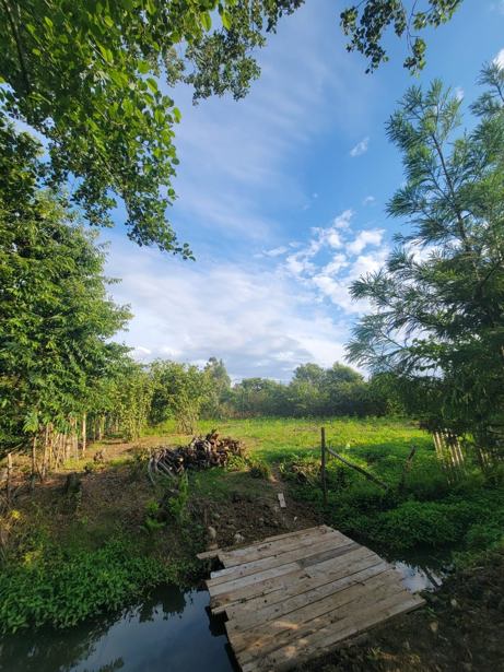 Land For Sale. Kveda Kvirike