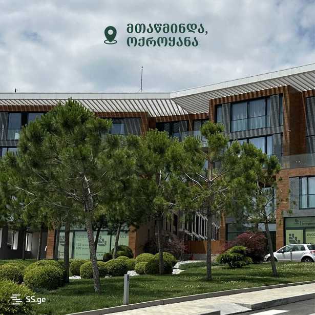 https://static.ss.ge/20260330/13_9ac93756-028d-44e8-b39b-4c8e24484905_Thumb.jpg