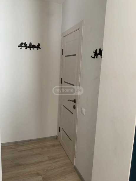 https://static.ss.ge/20260330/13_ec1fbb2f-082b-4e73-9fc7-26eb84334dab_Thumb.jpg