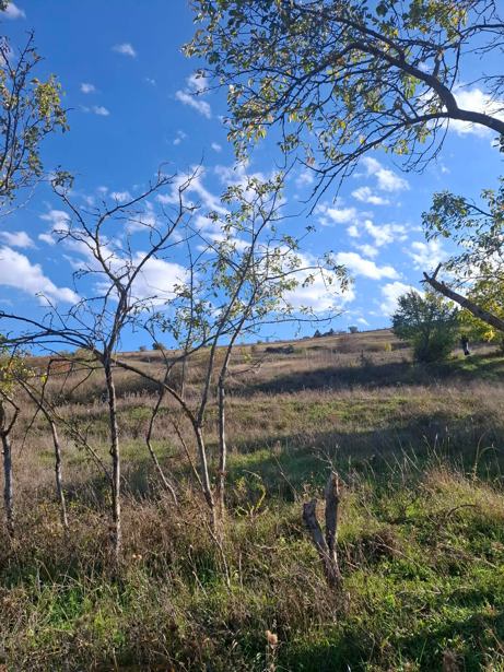 Land For Sale. Dusheti